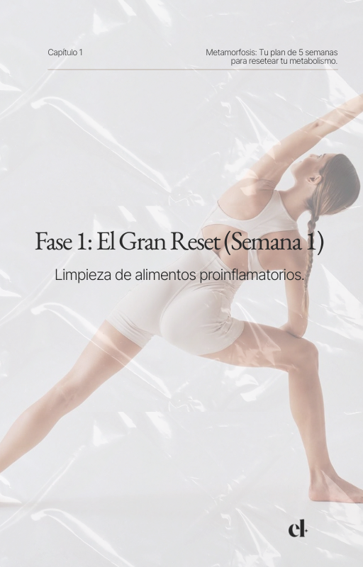 Ebook - METAMORFOSIS - Imagen 3