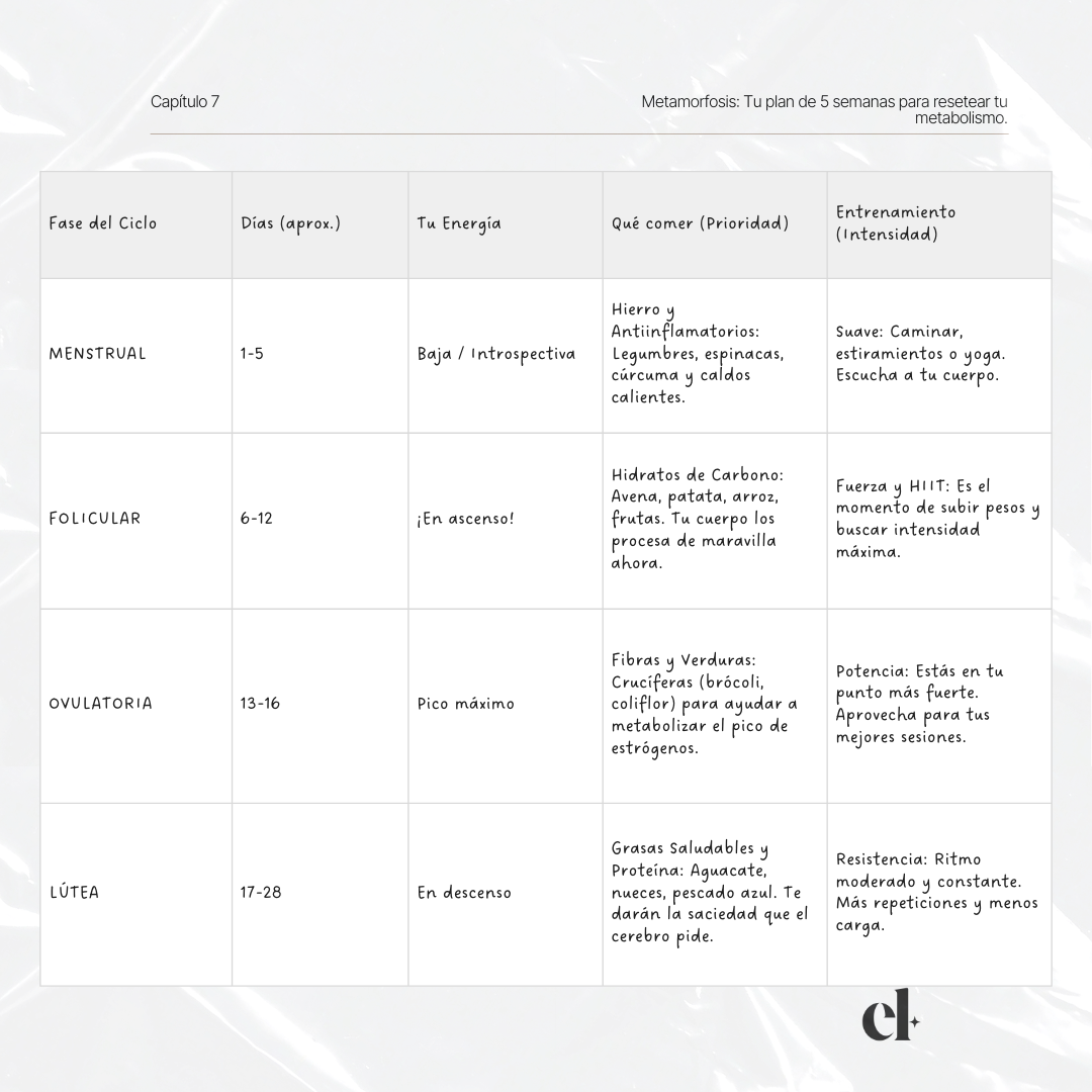 Ebook - METAMORFOSIS - Imagen 5